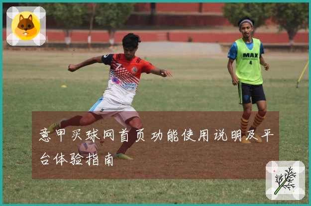意甲买球网首页功能使用说明及平台体验指南