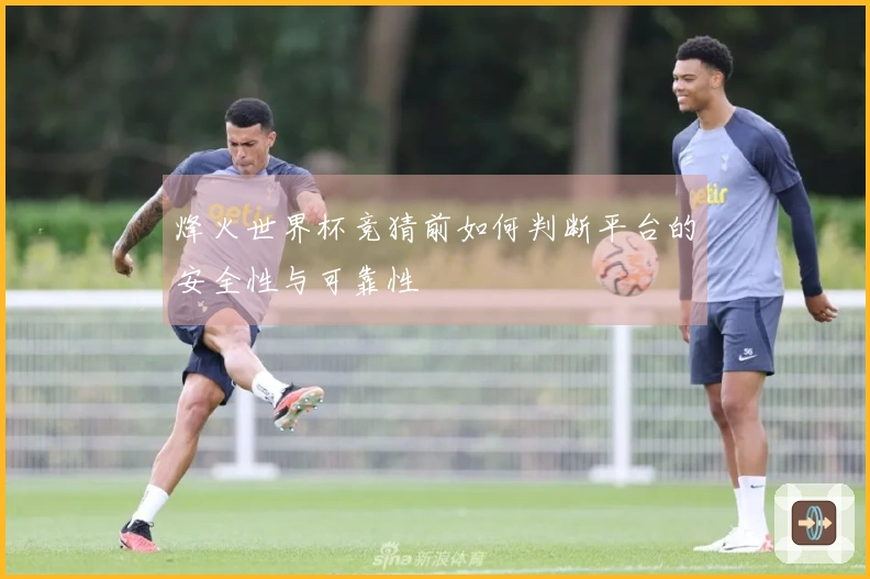 烽火世界杯竞猜前如何判断平台的安全性与可靠性
