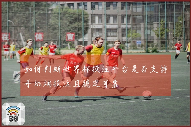 如何判断世界杯投注平台是否支持手机端投注且稳定可靠