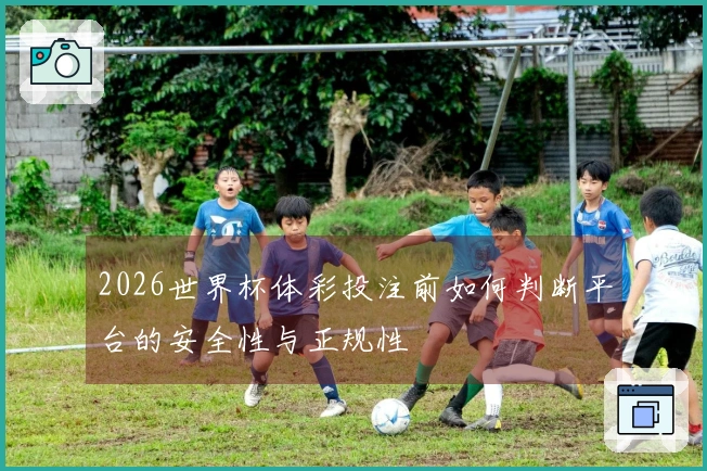 2026世界杯体彩投注前如何判断平台的安全性与正规性