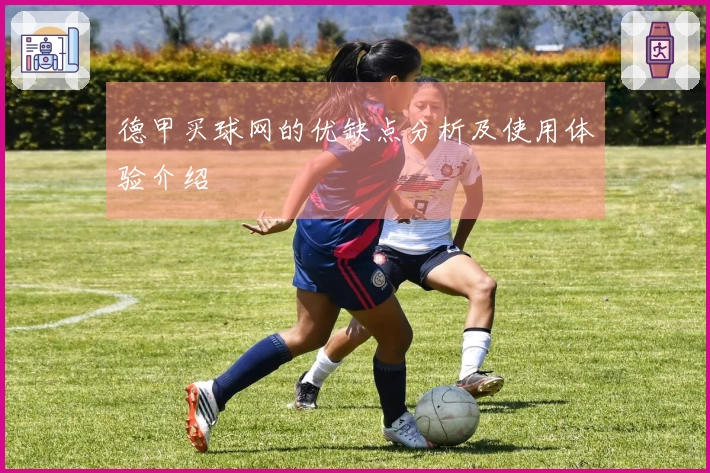 德甲买球网的优缺点分析及使用体验介绍