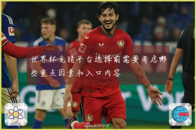 世界杯竞猜平台选择前需要考虑哪些重点因素和入口内容